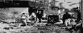 wp5ddf824f_0f.jpg